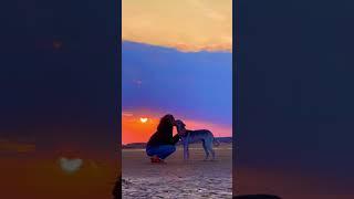 An Unbreakable Bond: A Girl's Emotional Tie with a Dog in the Majestic Sunset