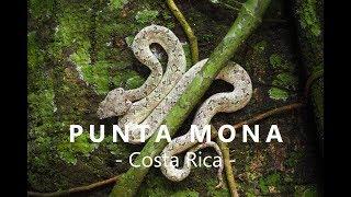 Off we hike to Punta Mona in Costa Rica