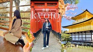 3 days in KYOTO!Japan travel diaries