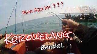 1 Ikan bisa Buat Makan 5 Orang (Mancing Korowelang)