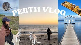 Perth Travel Vlog| Vegan Food, Caversham, Fremantle, Swan Valley, Rottnest Island, Kings Park 