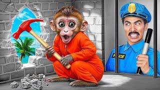 Monkey Escape from Pets Prison by Multi DO Smile