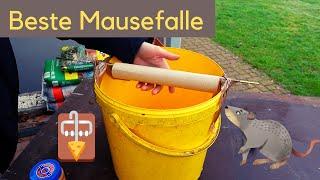 Mausefalle 🪤 DIY lebende Falle aus Eimer im Test