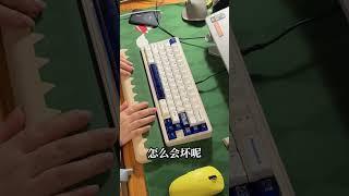 当喜欢机械键盘的你，看到老婆在摆弄机械键盘时 #keyboard #customkeyboards #机械键盘 #情侣日常