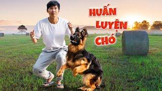 Quang BM | Một Ngày Huấn Luyện Becgiê  | Training For Becgie Dog