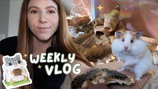 A Chaotic Week | Pet Vlog 