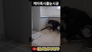 케라폭시줄눈하는 두더지부부              #줄눈시공#케라폭시