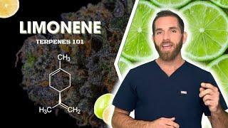 Limonene AKA The Happy Terp!