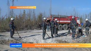 Пожар в Мордовском заповеднике потушен