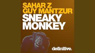 Sneaky Monkey (Guy J Remix)