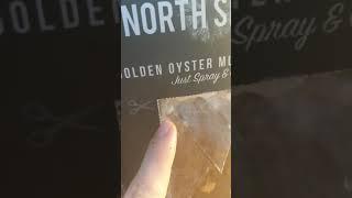 North Spore Golden Oyster day 6 update!!! New Growth