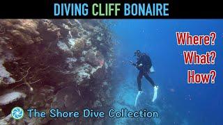 Diving Cliff Bonaire | The Shore Dive Collection | TropicLens - 4K