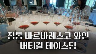 가야(Gaja) 다음으로  강추하는 바르바레스코 와인: 마르케시 디 그레시(Marchesi di Grésy) 와이너리 투어