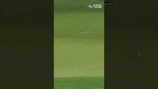 Tiger Woods Shows off his Creativity! #golfswing #golf #pga #pgatour #golfer