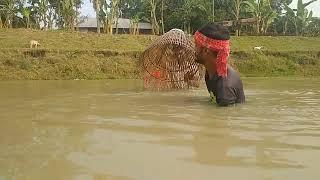 fish video 2024 || village polo fish video today || New fishing video || polo fish video