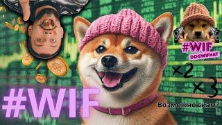  Dogwifhat (WIF) анализ: стоит ли инвестировать сейчас?
