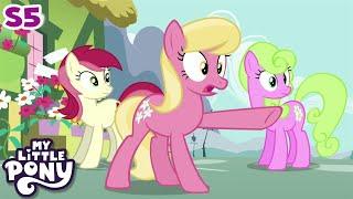 My Little Pony | Slice of Life | FULL EPISODE | Friendship Is Magic Season 5