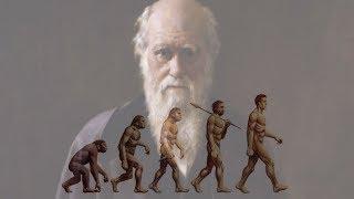 Darwinian Evolution Stands Only on Faith and Imagination.