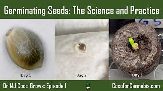 Germinating Seeds: The Science and Practice