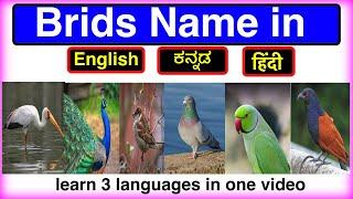 Learn Birds Names in kannada, English, Hindi | learn 3 languages in one video | part 2