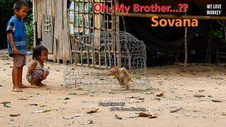 Oh...Wow...Human Brother of Poor Orphan Monkey Sovana Has Big Cage For Sovana, What Are They Doing?