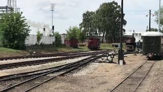 Узкоколейный поезд на паровозной тяге в Сьроде-Великопольский.