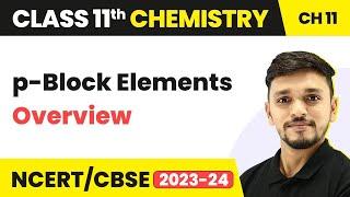 Class 11 Chemistry Chapter 11 | p-Block Elements - Overview | Class 11 Chemistry CBSE/NCERT