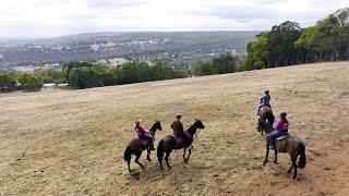 Destination WA - Wine and Dine with Horses