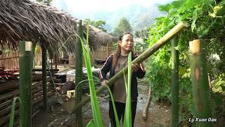 A blank hand. A new beginning. DAN built a solid toilet with bamboo by himself
