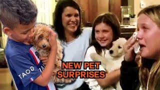 Is He Ours?!  New Pet Surprise!  #compilation | PAWSOME PETS