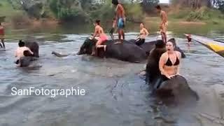 Elephant bathing || Sri Lanka Backpacking ||