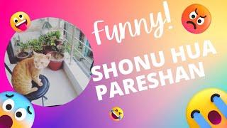 Shonu ko Kiya preshan #viral #vlog #ytvideos #catlover