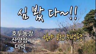 275만원드립니다!충북 괴산군 문광면 재밌는 임야 8,500평이 있습니다#임야매매#문광면토지매매#충청도땅매매#괴산땅매매#충북토지매매#충청북도토지매매#농가주택매매#농막매매#생활형쉼터