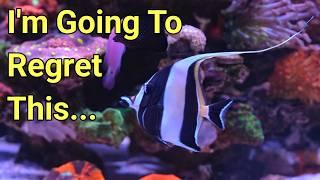 Adding Fish And Corals | Red Sea Reefer S-850 G2+ Episode 5