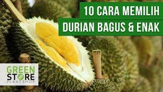 Inilah 10 Cara Memilih Durian yang Bagus dan Enak
