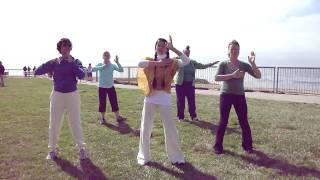 World TaiChi & Qi Gong Day Part 3 2010 Santa Cruz