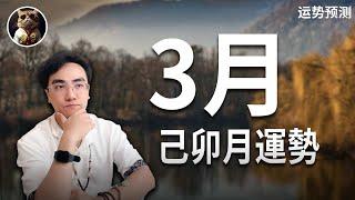 2025年 3月，惊蛰后你必須注意的運勢，己卯月運勢預測#03占星台