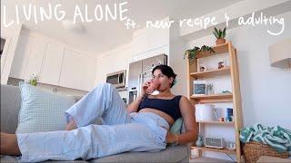 living alone vlog: chill day at home, cooking a new recipe, & adulting