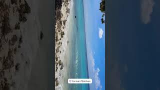 Maldives Travel #viral #video #youtubeshorts #youtube #reels #trending #japan #love #shorts #vlog