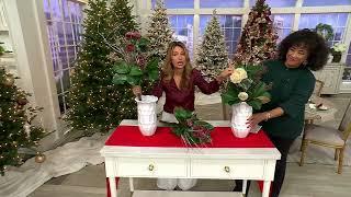 Simply Stunning Decorative Tree Topper by Janine Graff on QVC