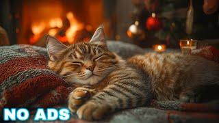 Relaxing Cat Music  Anxiety relief music for cats, Soothe your cat with our relaxation music no ads