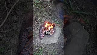 BBQ Hack will save your Life  #survivalskils