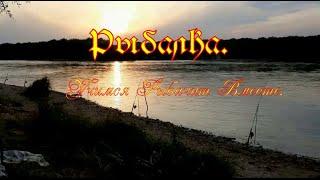 Рыбалка  . Учимся Рыбачить Вместе . #рыбалка #учимсярыбачитьвместе #рыбалка2024