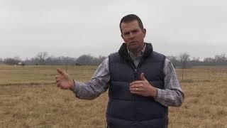 Jason Cleere - Beef Cattle Management - Basic Beef Cattle Management