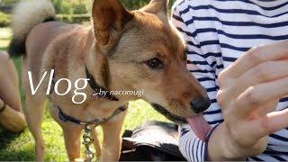 Vlog | 保護犬"麦"と飼い主の信州暮らし