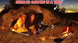 Secret Stealth Camping in a Tree | Foraging Wild Food | Fire | Nature | Bushcraft | Survival | Dog