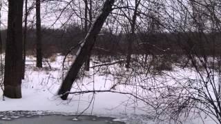 Under Ice Winter Beaver Trapping Scouting
