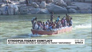 Ethiopia-Tigray conflict: UN calls forced return of Eritrean refugees 'disturbing'