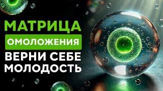 Удаление Энергии СТАРОСТИ - Действует СРАЗУ! | Омоложение и Обновление ОРГАНИЗМА | Исцеление Звуком