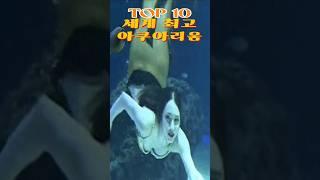 세계 최고 아쿠아리움 TOP10